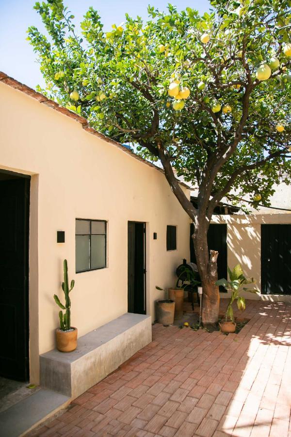 509 Accommodation Oaxaca Bagian luar foto