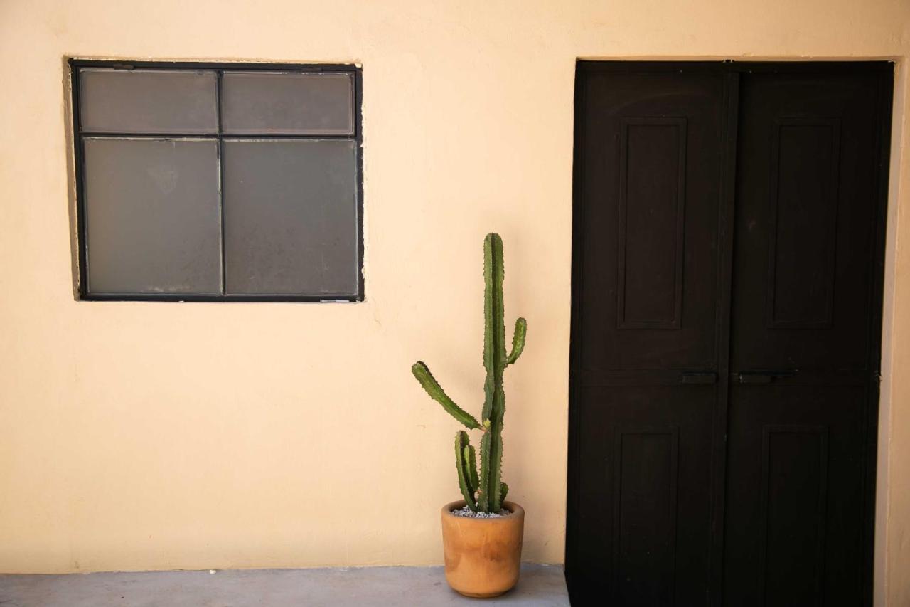 509 Accommodation Oaxaca Bagian luar foto