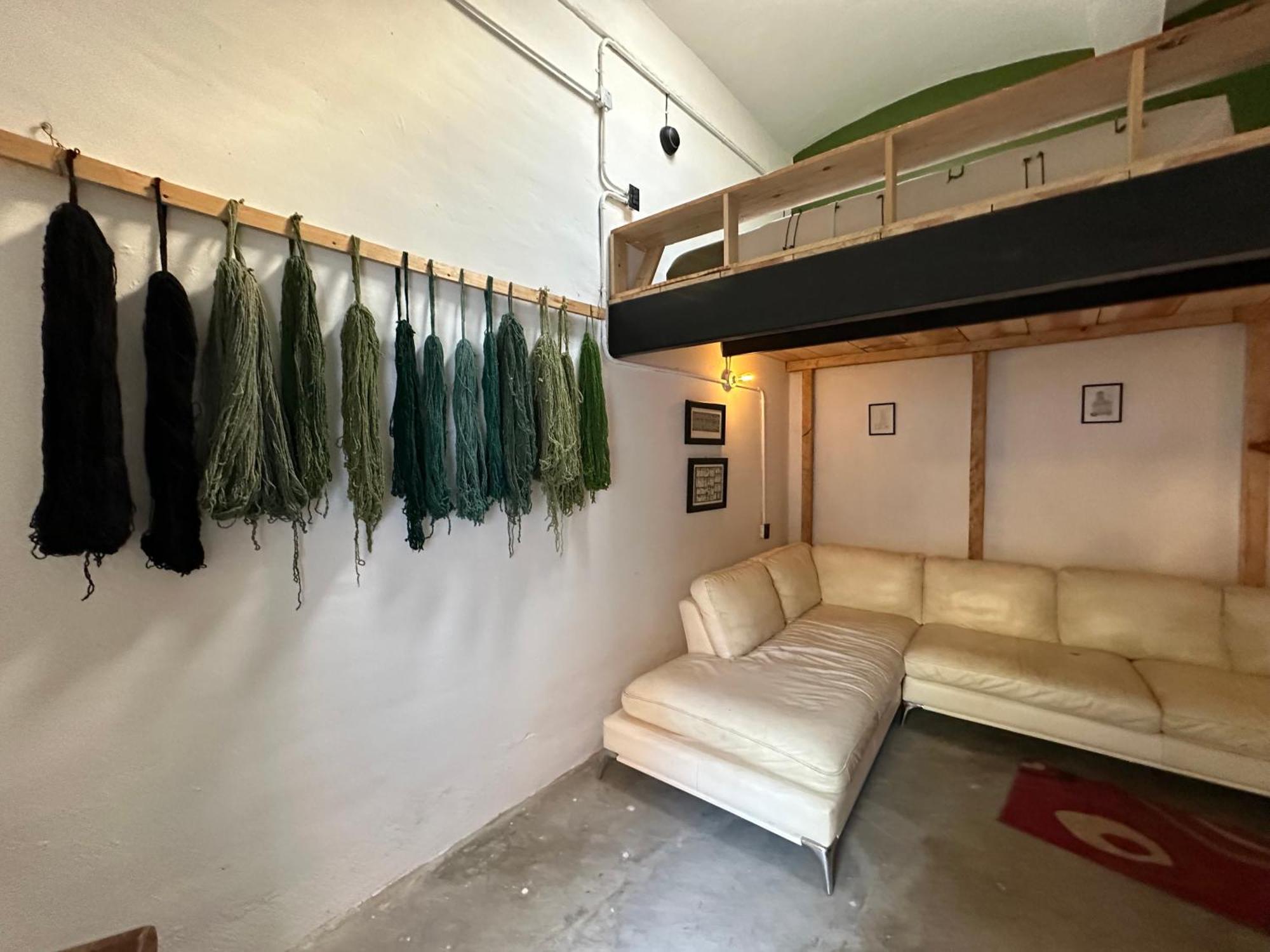 509 Accommodation Oaxaca Bagian luar foto