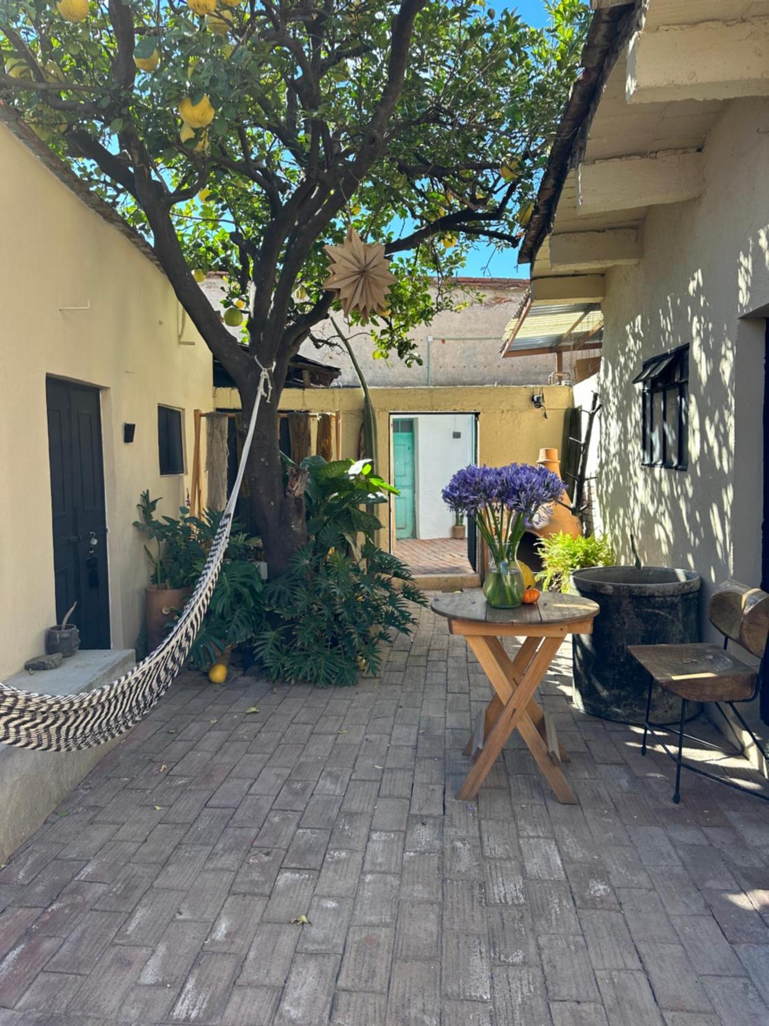 509 Accommodation Oaxaca Bagian luar foto
